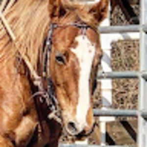 Meet your Posher, Leah